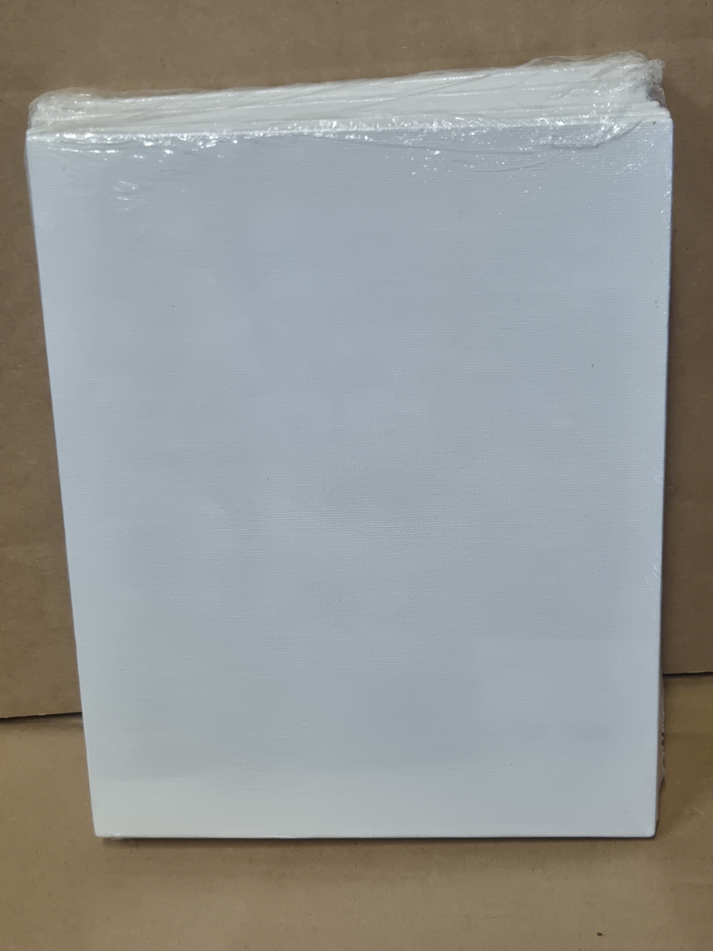 Alternative White Canvas Panel - 8x10 Set of 12 EBA3 - Picture 3 of 5